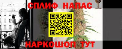 гашик Донецк